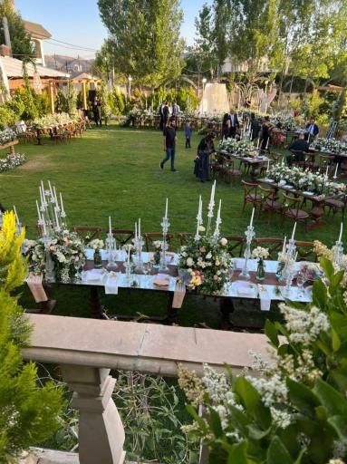 عکس تشریفات پارمیدا