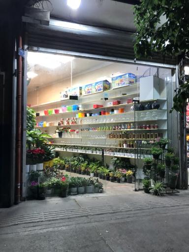عکس گل فروشی گلسار