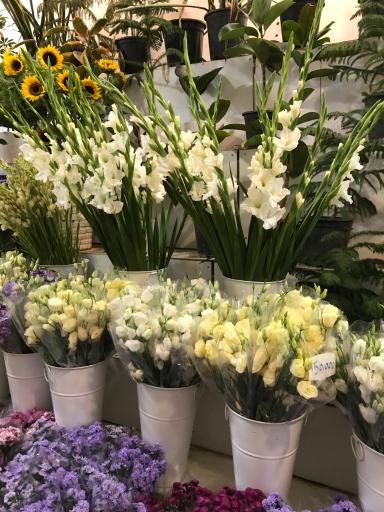 عکس گل فروشی گلسار