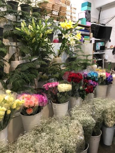 عکس گل فروشی گلسار