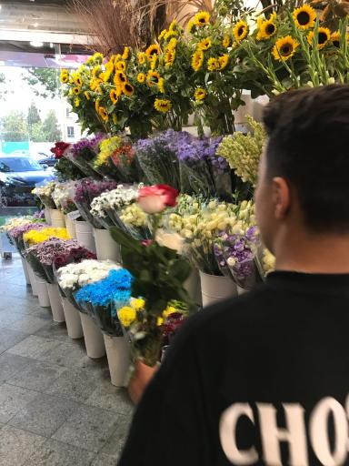 عکس گل فروشی گلسار