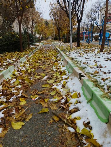 عکس بوستان شهدای خبرنگار