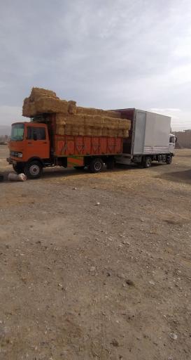 عکس بازار کاه نیشابور