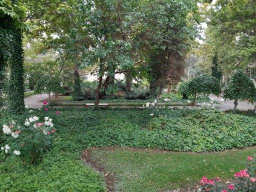 عکس دانشکده منابع طبیعی و محیط زیست