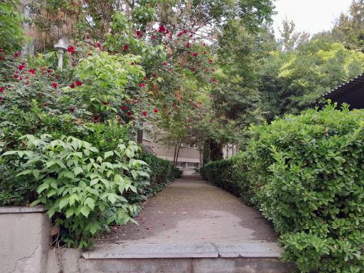 عکس دانشکده منابع طبیعی و محیط زیست