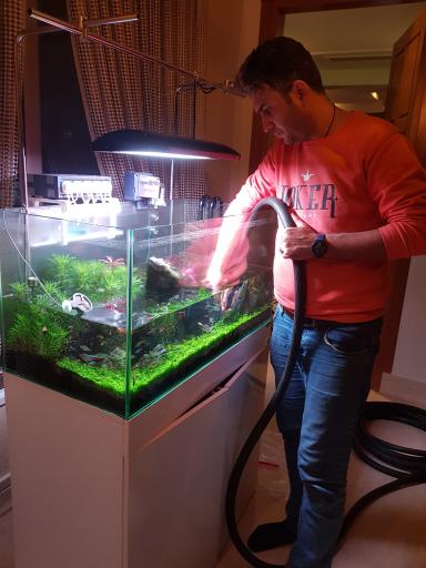 عکس آکواریوم فیش تور