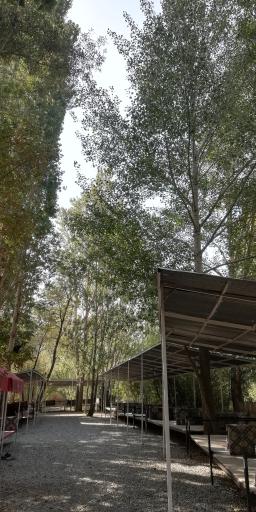 عکس رستوران نگین البرز