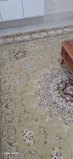 عکس قالیشویی ویژه