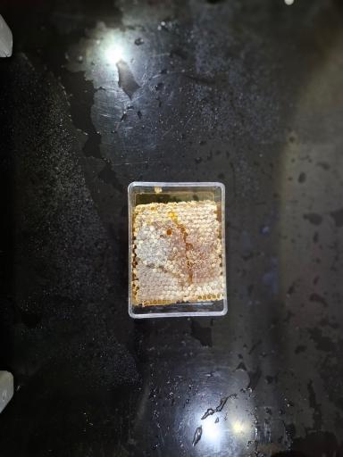 عکس فزوشگاه اینترنتی عسل عسلک