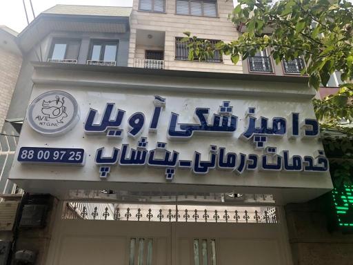 عکس کلینیک دامپزشکی آویل