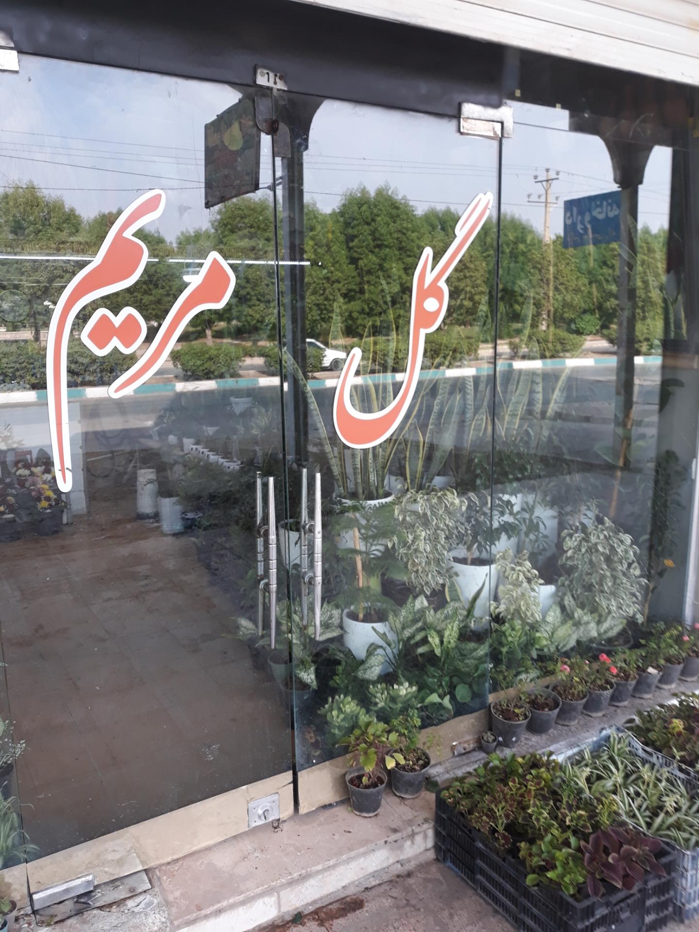عکس گل سرای مریم