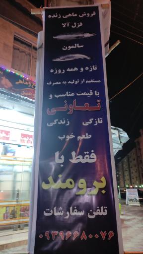 عکس سوپر مرغ و پروتئین برومند