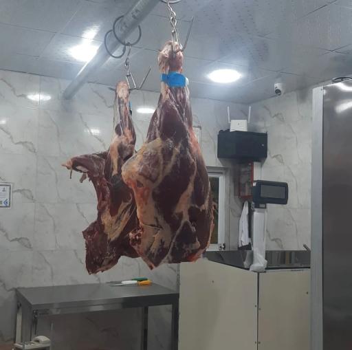 عکس پروتئینی پوریا 