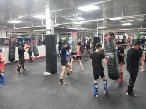 عکس استخر و مجموعه ورزشی المپیک