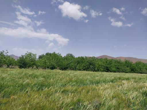 عکس محمودآباد