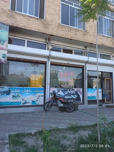 عکس کله پاچه حجت 