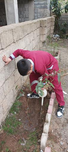 عکس مدرسه ابتدایی نماز