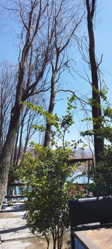 عکس رستوران شاندیز مرشد