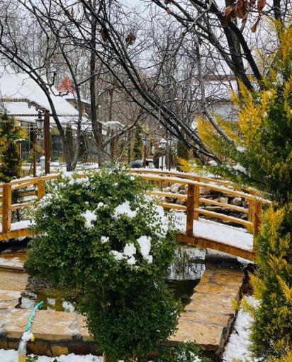 عکس باغ رستوران اشرفیه