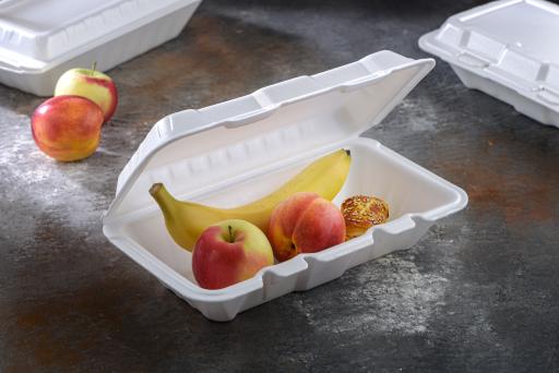 عکس سارگون پلیمر عاملیت فوم صبرا