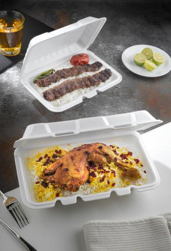 عکس سارگون پلیمر عاملیت فوم صبرا