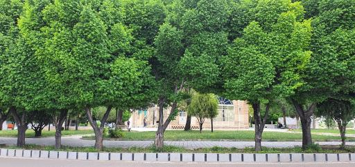 عکس امامزاده زید الکبیر