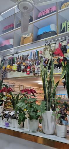 عکس داروخانه دامپزشکی دکتر اصفهانی