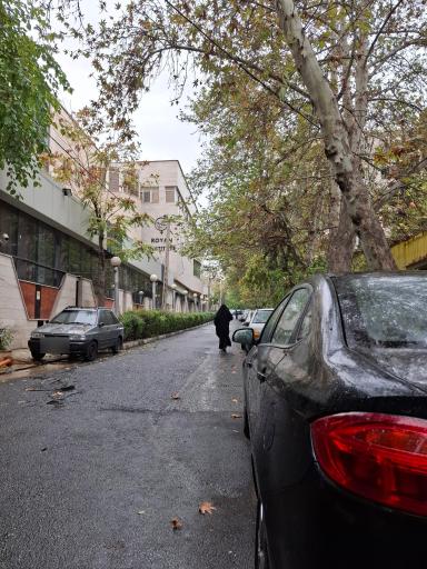 عکس پژوهشگاه رویان