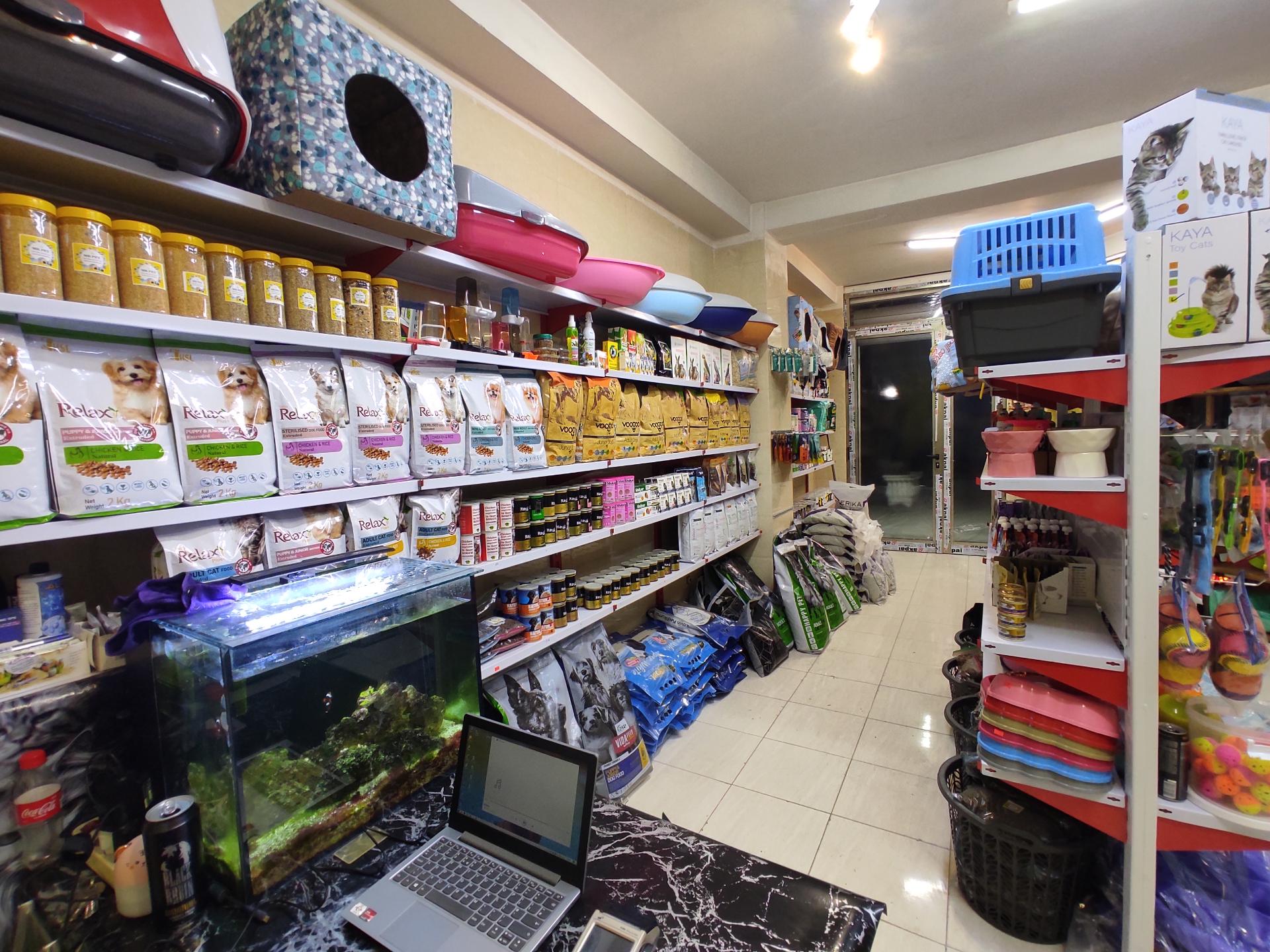 عکس مستر پت