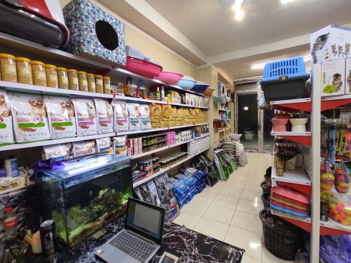 عکس مستر پت