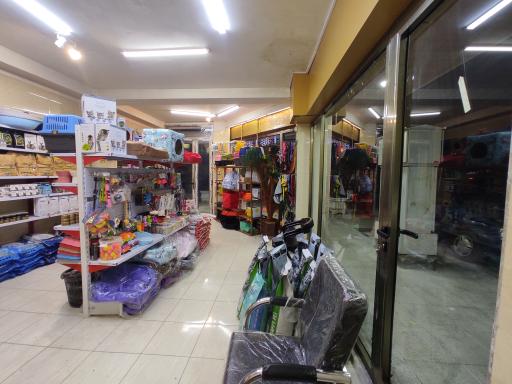 عکس مستر پت