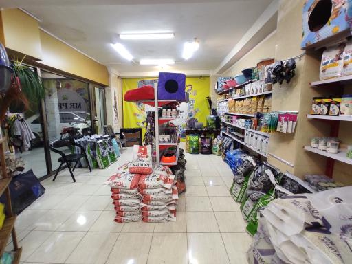 عکس مستر پت