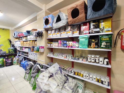 عکس مستر پت