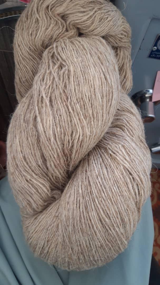 عکس شرکت ریسندگی نمونه (عباسی)