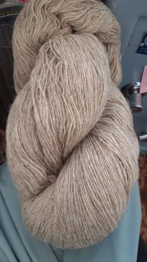 عکس شرکت ریسندگی نمونه (عباسی)