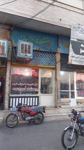 عکس رنگ اتومبیل اسلامی