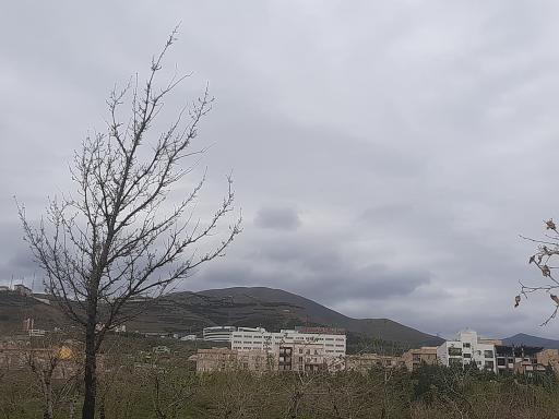 عکس بوستان اشقل (اسب سفید)