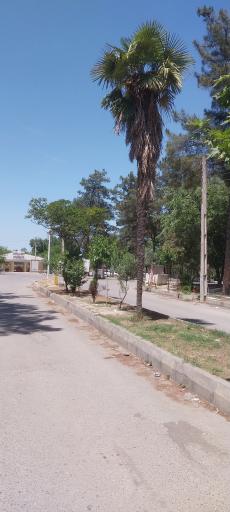 عکس امامزاده روشن آباد