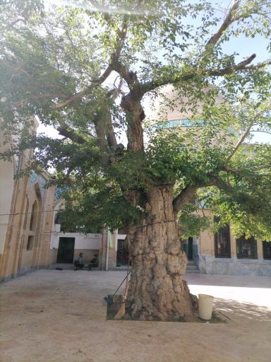 عکس امامزاده سهل ابن علی