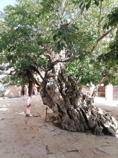 عکس امامزاده سهل ابن علی