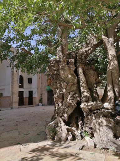 عکس امامزاده سهل ابن علی