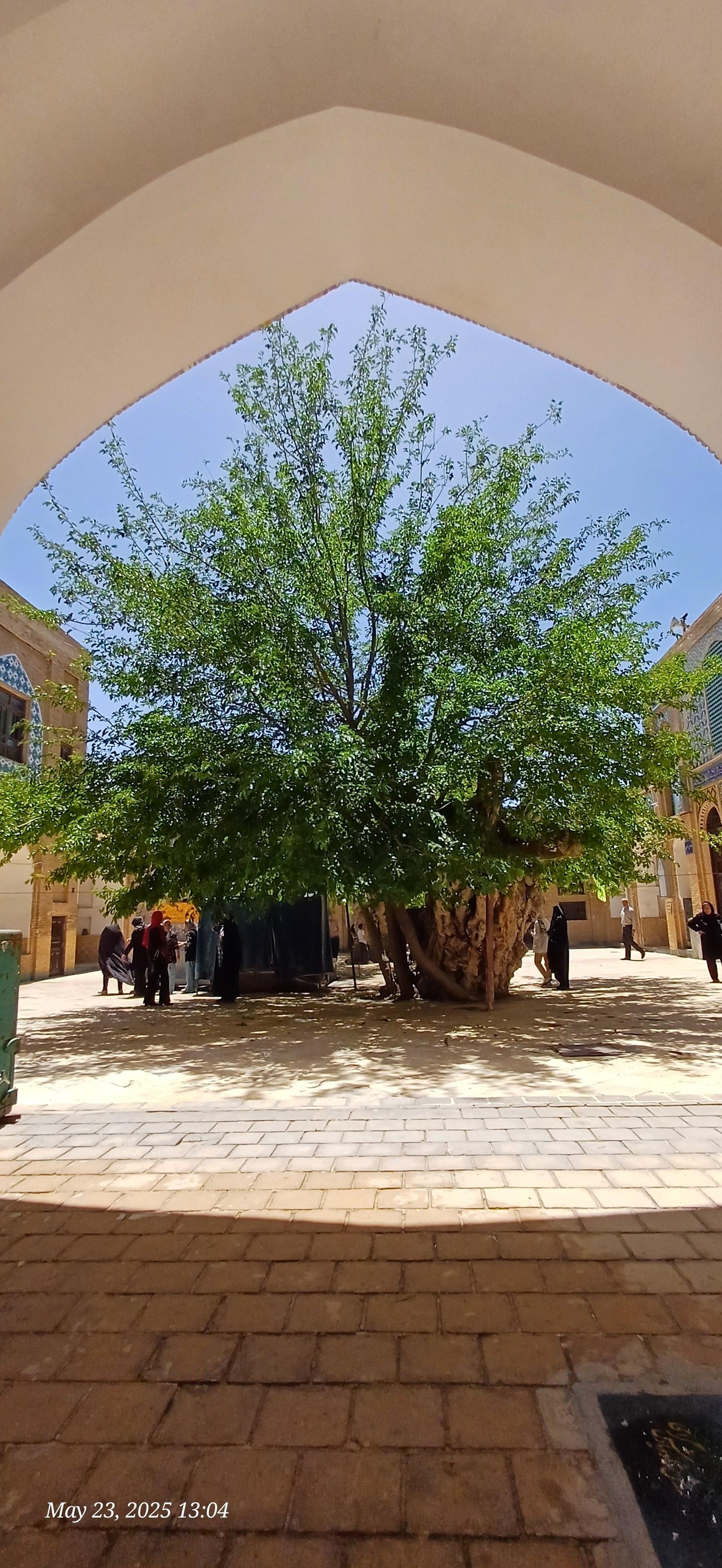 عکس امامزاده سهل ابن علی