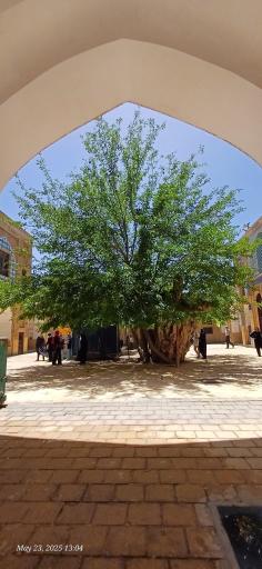 عکس امامزاده سهل ابن علی