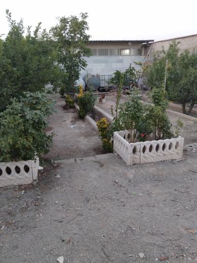 باغچه علی