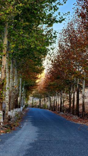 عکس داغلار باغی پره