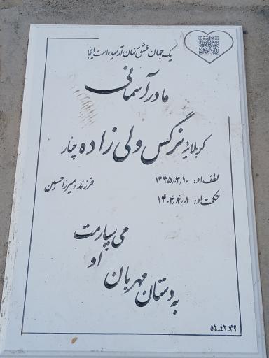 عکس مزار نرگس ولی زاده چنار