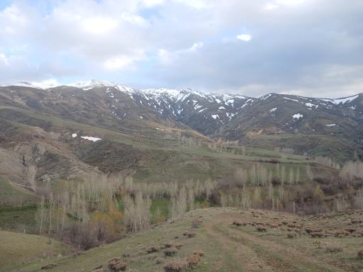 عکس النکش