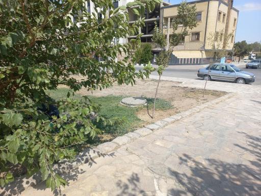 عکس بوستان مروارید