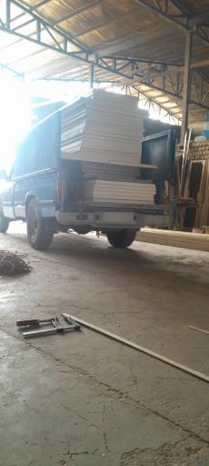 عکس شاهین چوب