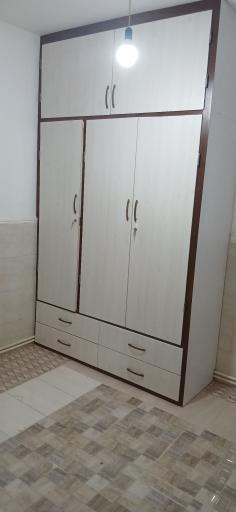 عکس شاهین چوب